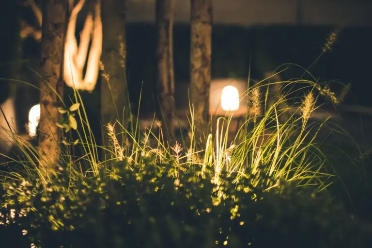 Garden and trees softly lit with landscape lighting at night