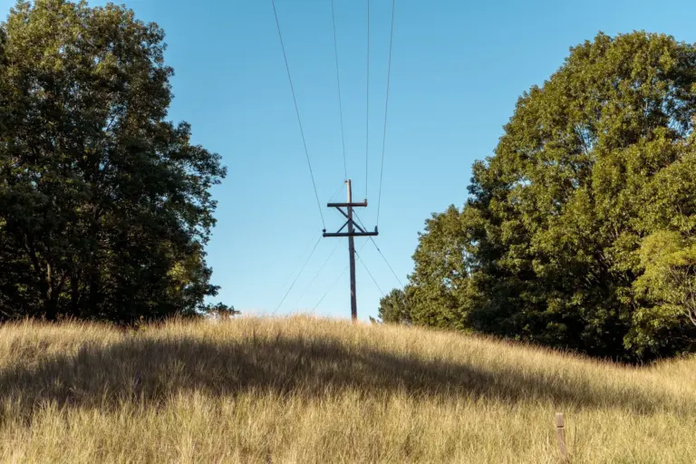 Wooden utility pole carrying overhead power lines beside grass and trees