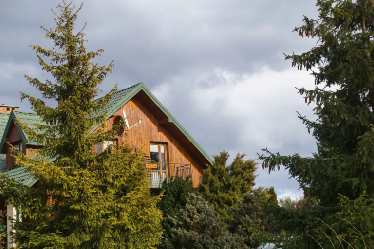 Wooden house surrounded by tall evergreen trees under a cloudy sky